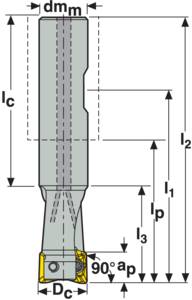 305388-1003057587.jpg